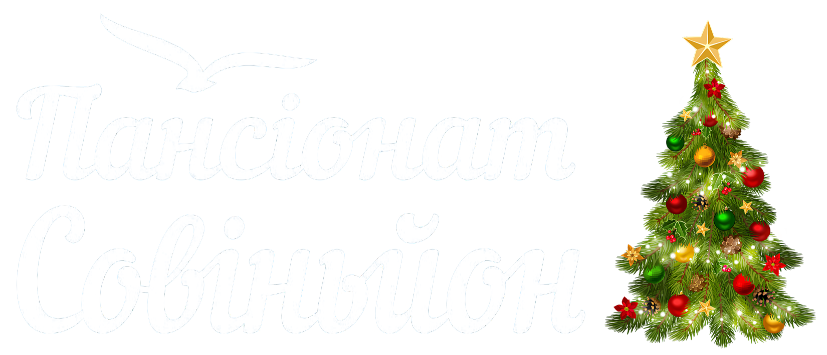 Пансіонат Совіньйон